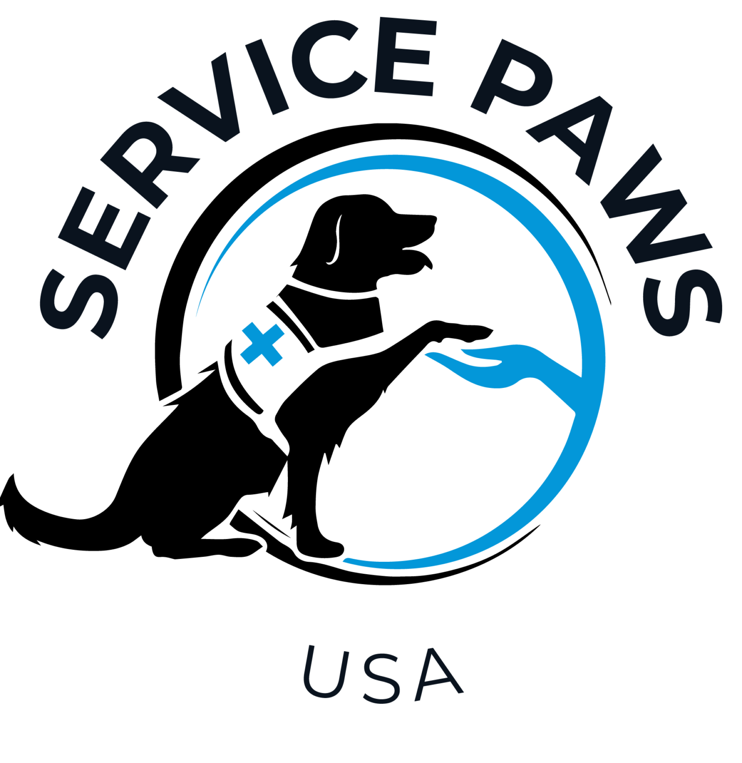 Why Can't Cats Be Service Animals? - Service Paw USA