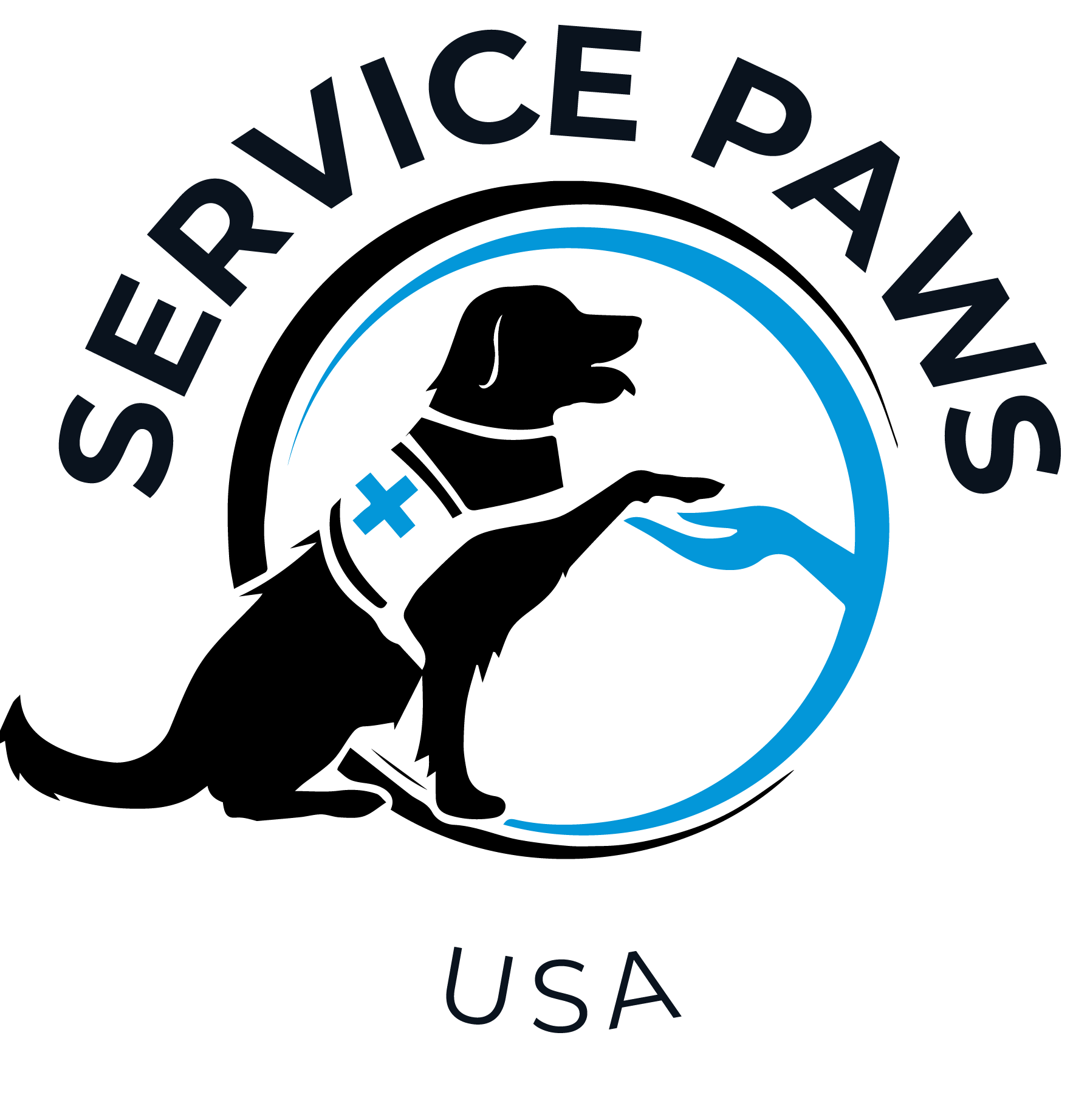 can-a-yorkie-be-a-service-dog-2023-the-surprising-truth-service