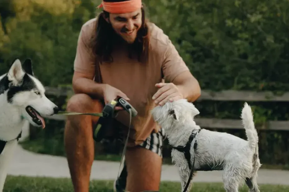 What is DPT Dog